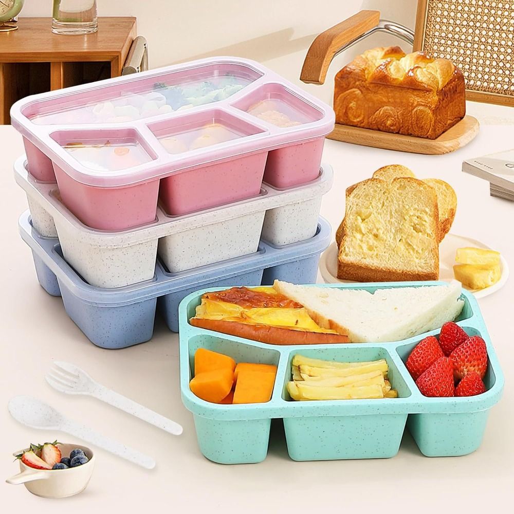 4 Compartments Kids Bento Box  - Meal Prep Kinder review and price