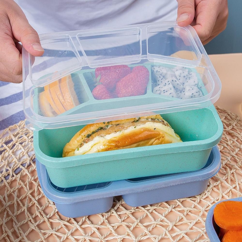 4 Compartments Kids Bento Box  - Meal Prep Kinder review and price