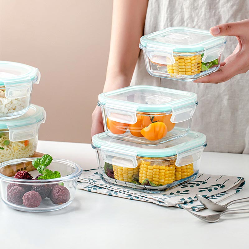 High Borosilicate Glass Lunch  - Meal Prep Kits review and price