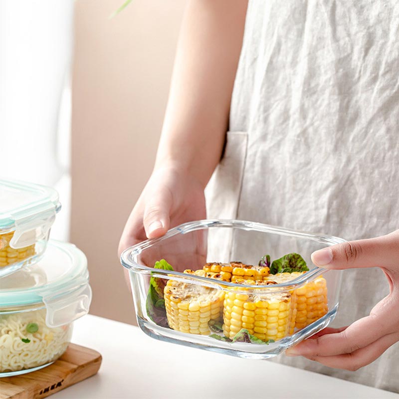 High Borosilicate Glass Lunch  - Meal Prep Kits review and price
