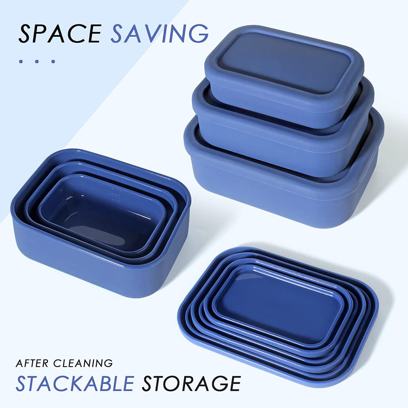 Leak-Resistant Bento Lunch Box - Meal Prep Kits review and price