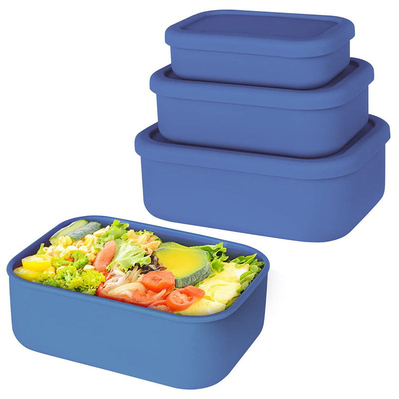 Leak-Resistant Bento Lunch Box - Meal Prep Kits review and price