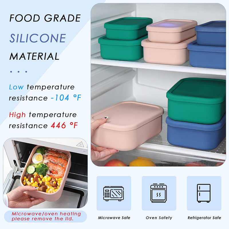 Leak-Resistant Bento Lunch Box - Meal Prep Kits review and price