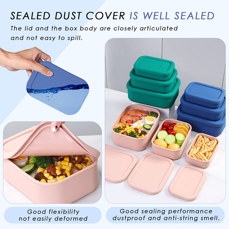 Leak-Resistant Bento Lunch Box - Meal Prep Kits review and price