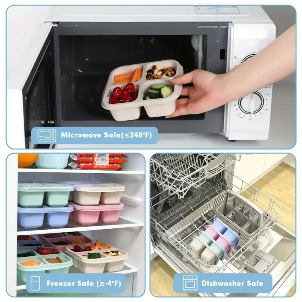 4 Grid Snack Box for Kids and  - Meal Prep Kinder review and price